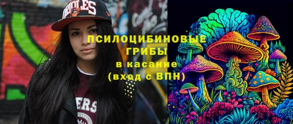 гидропоника Няндома