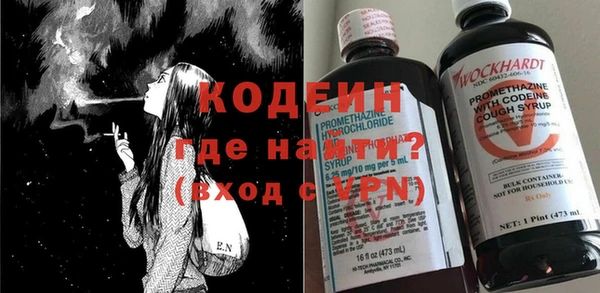 шишки Осинники