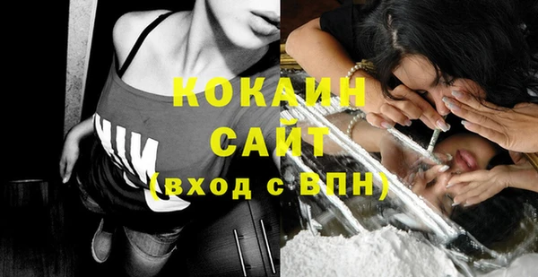 шишки Осинники