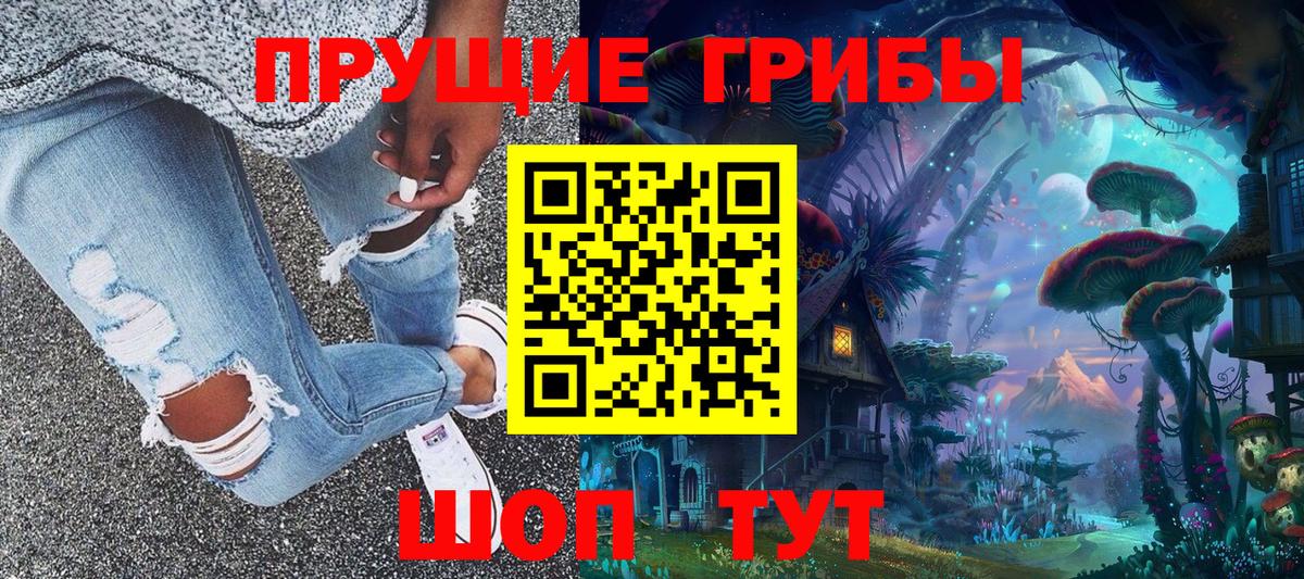 Псилоцибиновые грибы Psilocybine cubensis Алейск