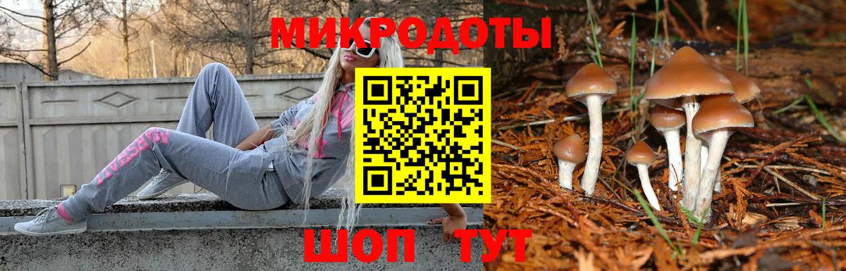 Псилоцибиновые грибы Psilocybine cubensis  Алейск  где купить наркоту  Галлюциногенные грибы Magic Shrooms 