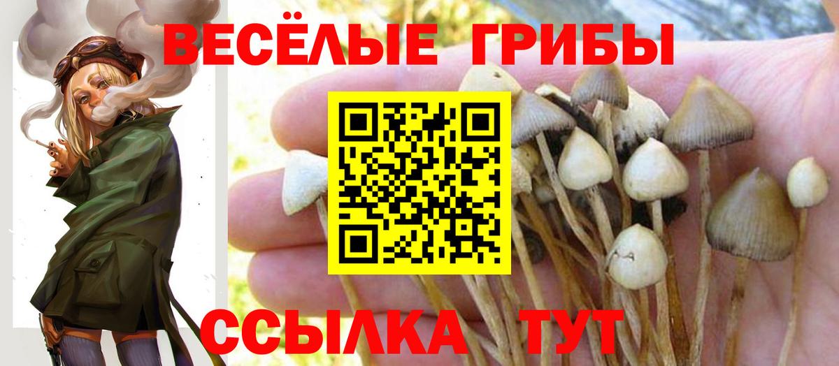 Псилоцибиновые грибы мухоморы Алейск