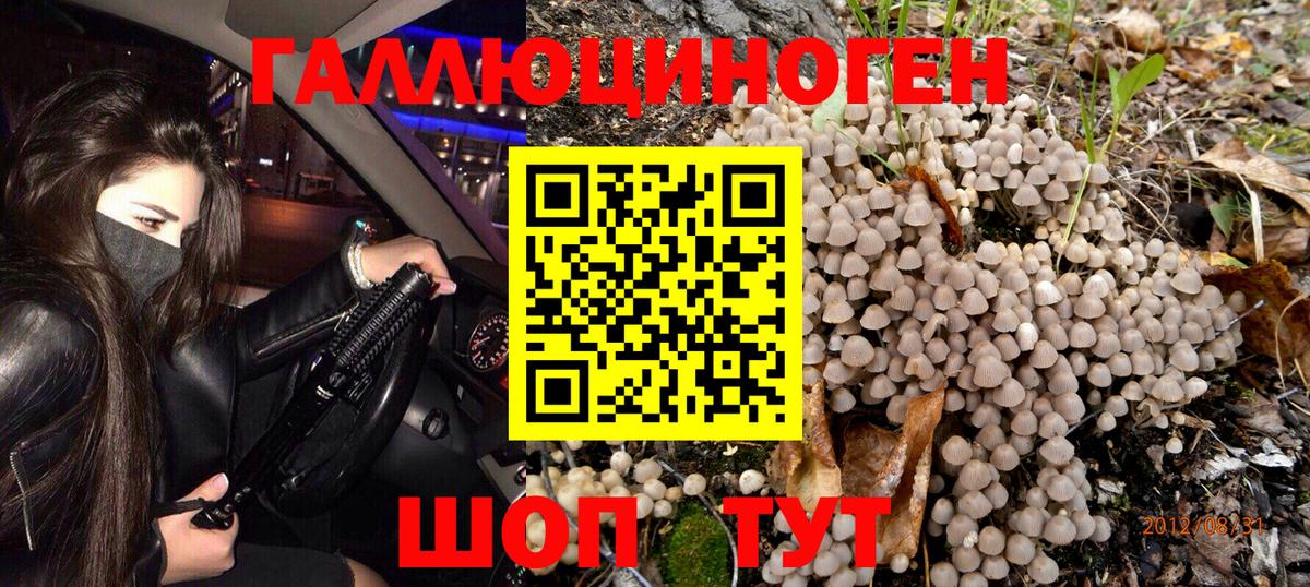 Псилоцибиновые грибы Cubensis  Вход с VPN  Алейск  Галлюциногенные грибы MAGIC MUSHROOMS 